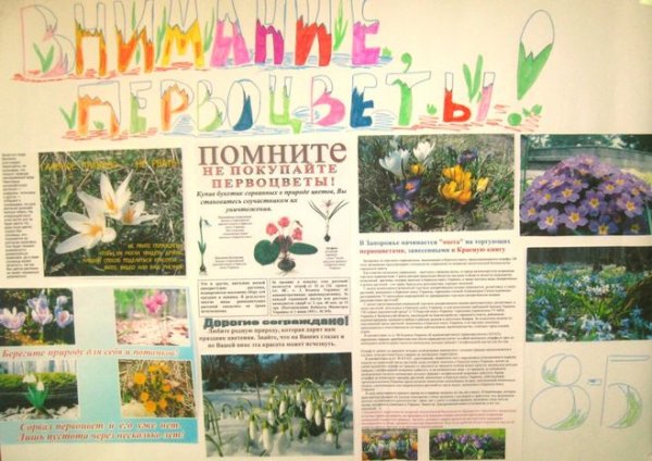 Плакат на тему цветов