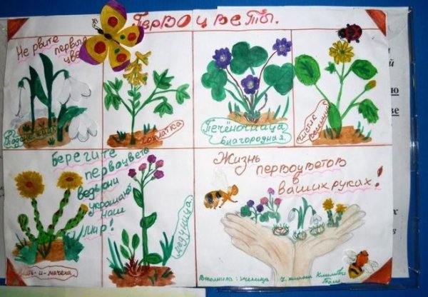 Оформление плаката с растениями