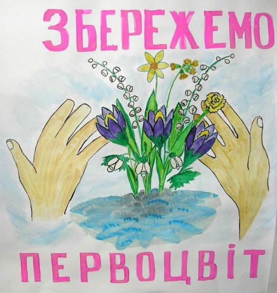 Плакат первоцветы