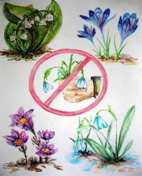 Берегите цветы