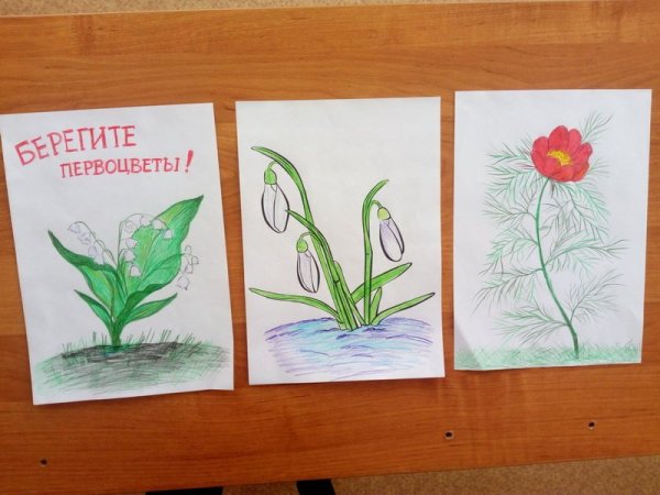 Рисунок на тему растения