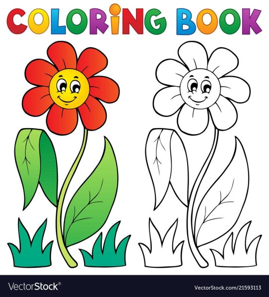 Цвета раскраска для детей