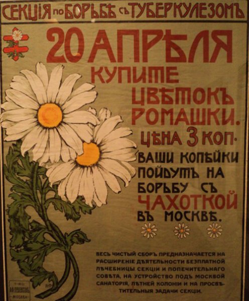 День белого цветка плакат