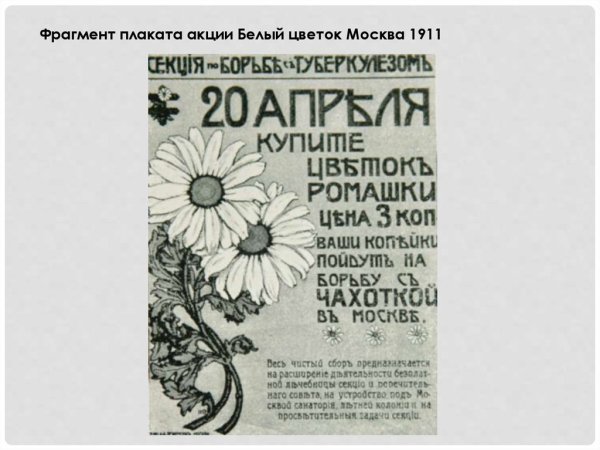 День белого цветка 1911