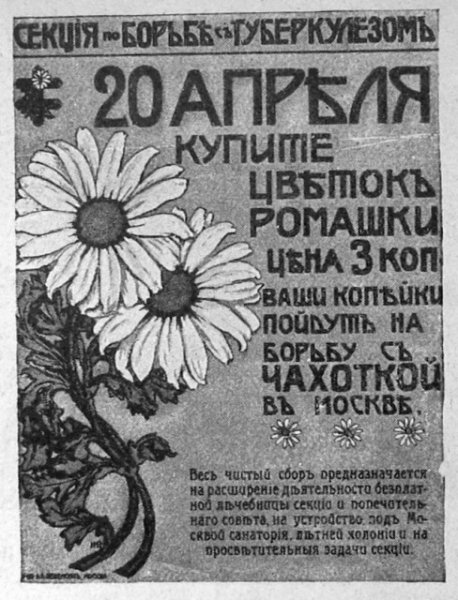 День белой ромашки