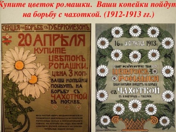 Дни празднования белой ромашки