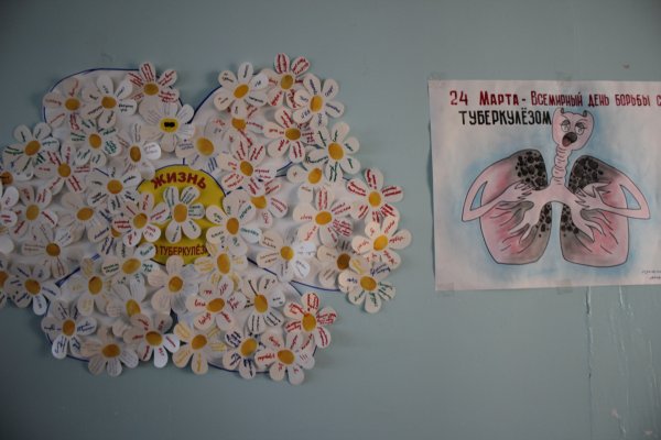 Акция белая Ромашка