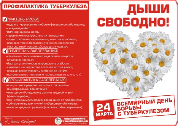 Акция белая Ромашка