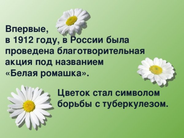 Туберкулез рисунок