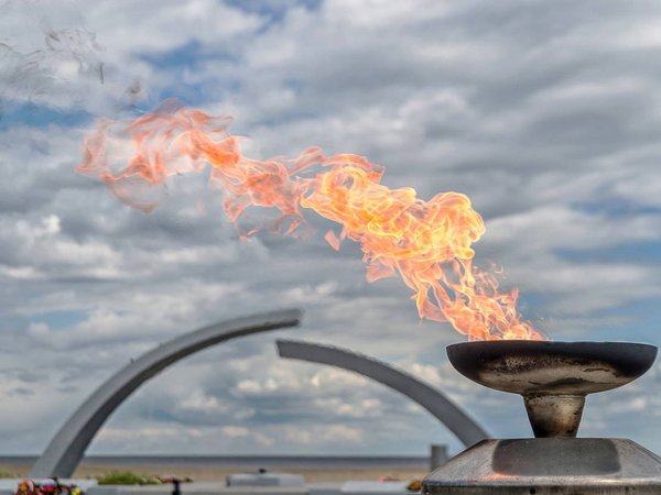 Сталинградская битва потери