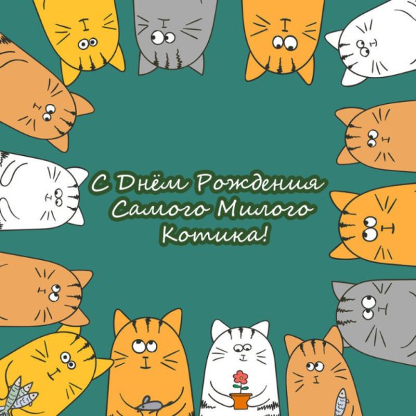 С днем рождения Минимализм котик