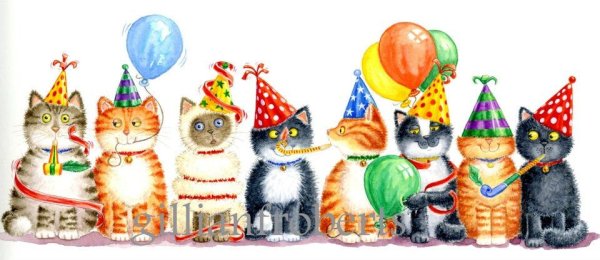 С днем рождения коты