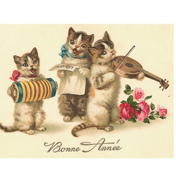 Открытки с днём рождения с котиками