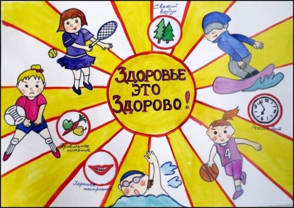 Распорядок дня