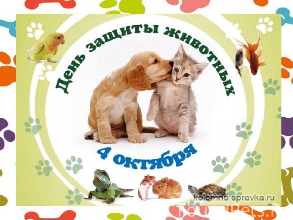 Международный день животных