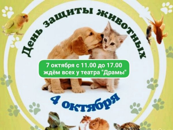 Всемирный день животных