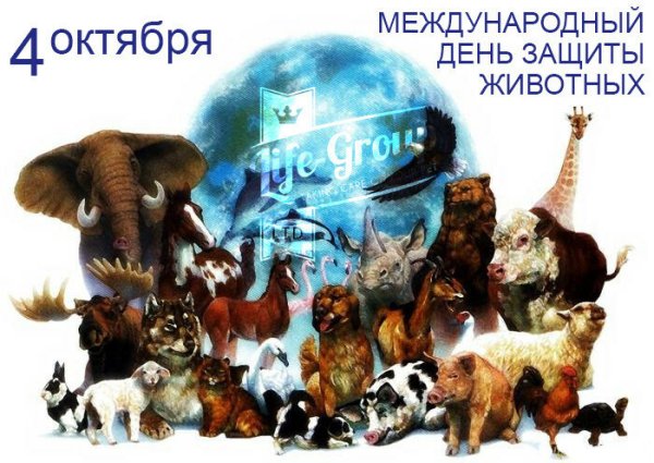 День защиты животных