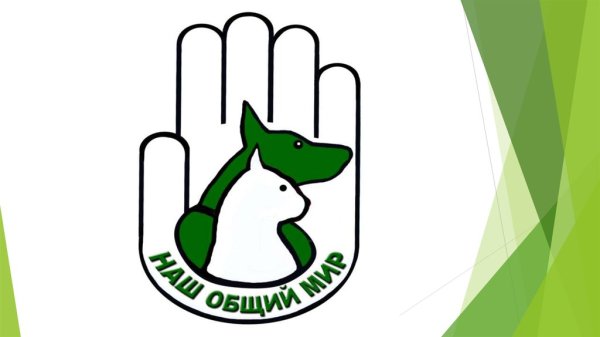 Международный день защиты животных