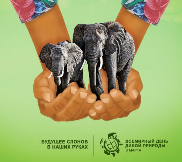 Братья наши меньшие день защиты животных