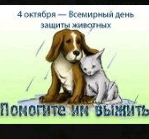 Международный день защиты живот