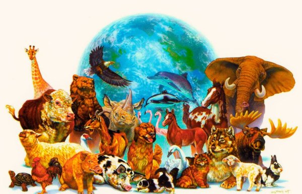 Живые существа нашей планеты