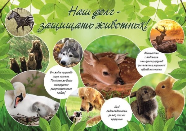 Помогайте животным