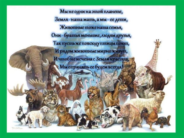 Рисунок ко Дню защиты животных