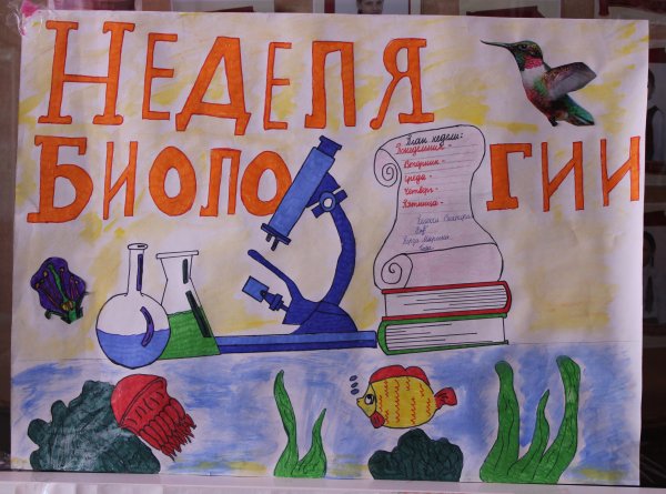 Арты на тему экология