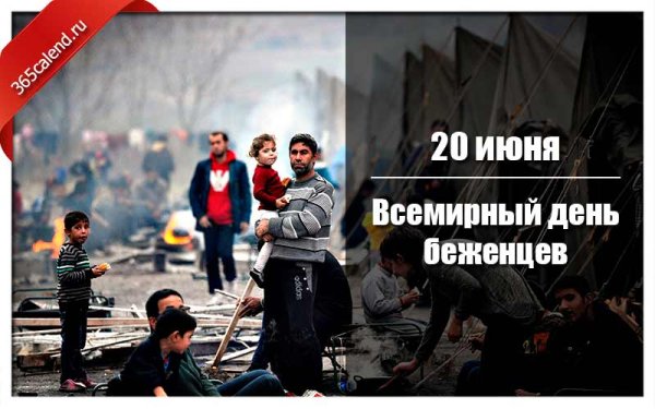 Плакат беженцы проект