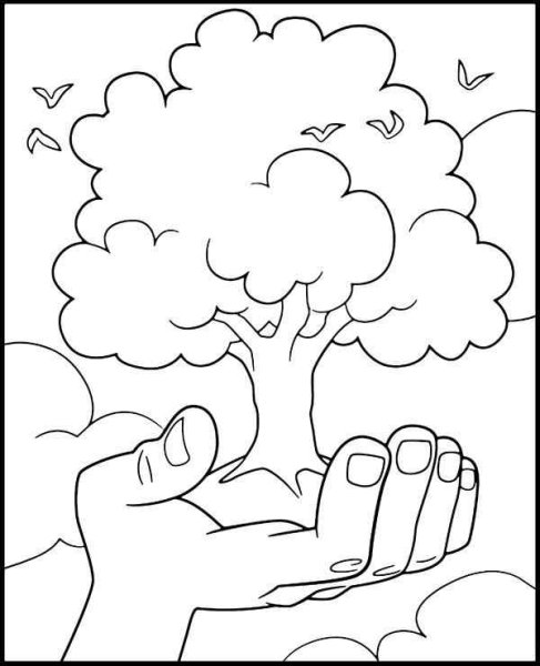 Экология раскраска для детей