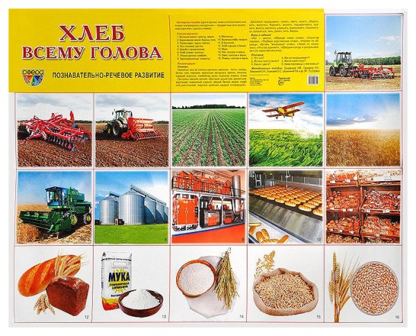 Девиз детского сада "колосок"