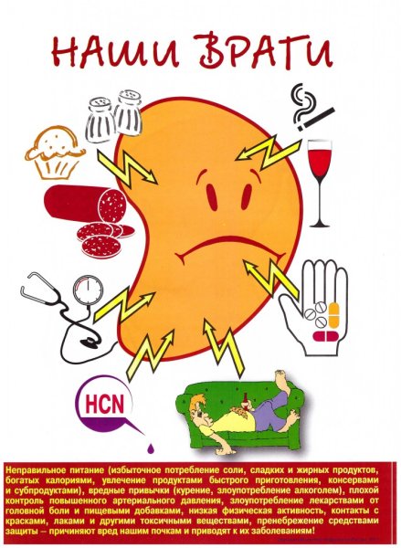 Профилактика и раннее выявление онкозаболеваний