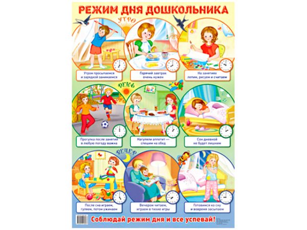 Распорядок дня