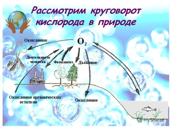 Кислород презентация