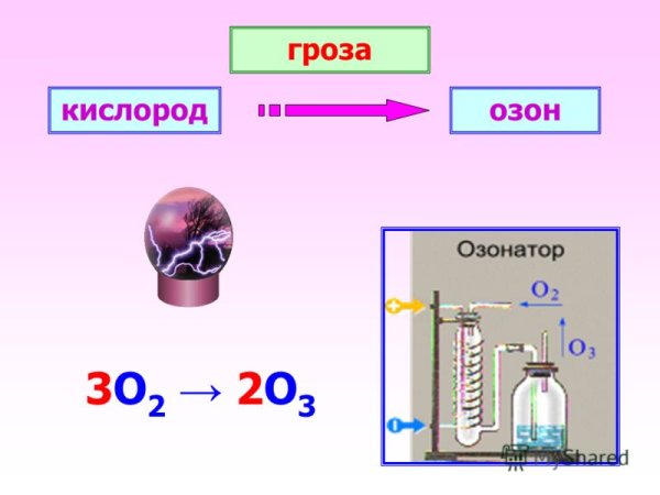 Круговорот кислорода (по е. а. Криксунову и др., 1995)
