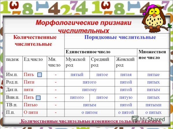 Имена числительные в русском языке