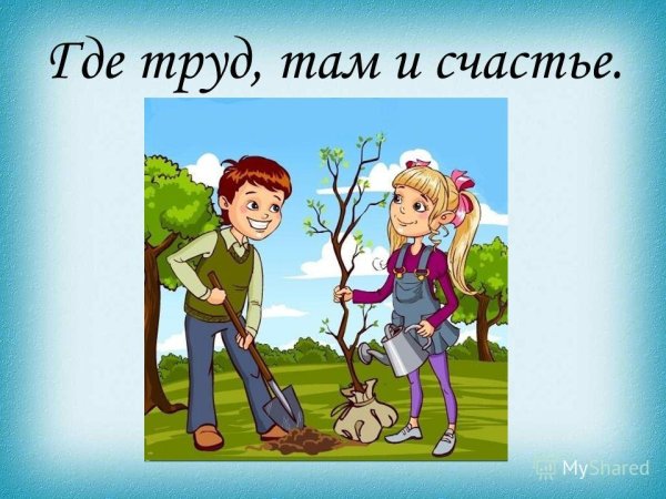 Картинки к пословицам о труде