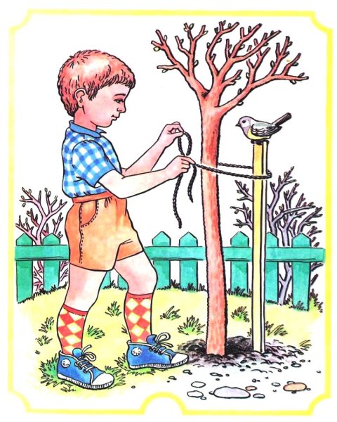 Трудовое воспитание дошкольников