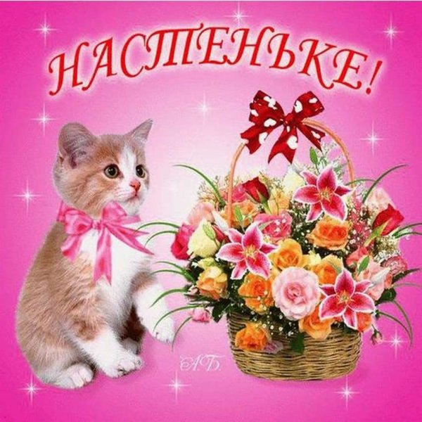 С днём рождения Настя