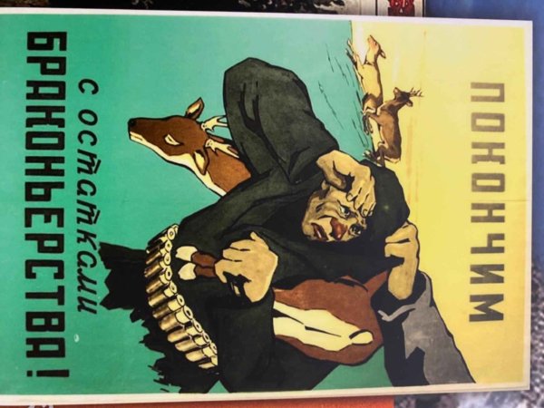Плакаты против браконьерства