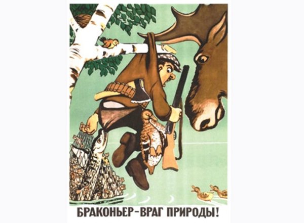 Браконьерство плакат