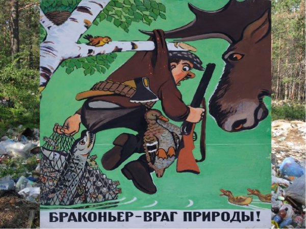 Браконьерство плакат