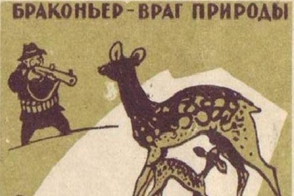 Браконьер враг природы