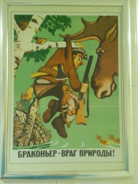 Плакаты против охоты