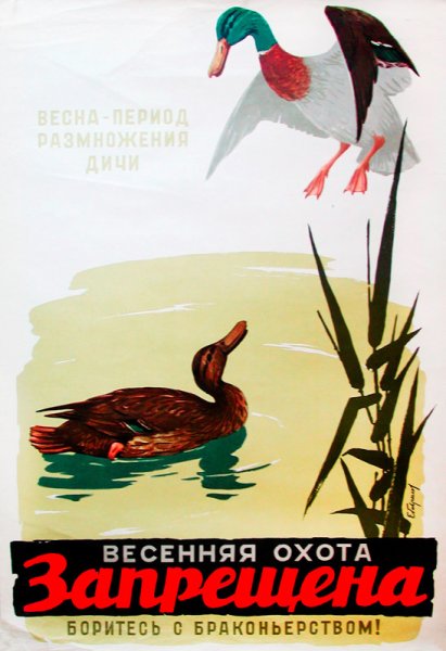 Нельзя убивать животных