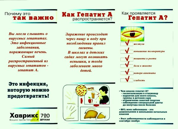 Профилактика острого вирусного гепатита