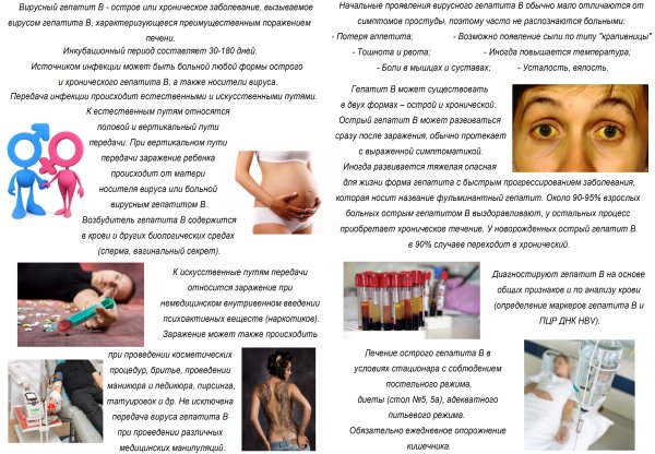 Путь передачи инфекции при вирусном гепатите а