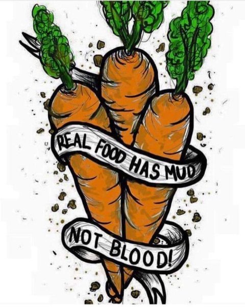 Вегетарианство плакаты