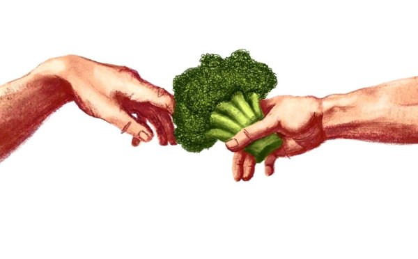 Веганские иллюстрации