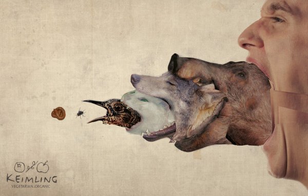 Животные не еда